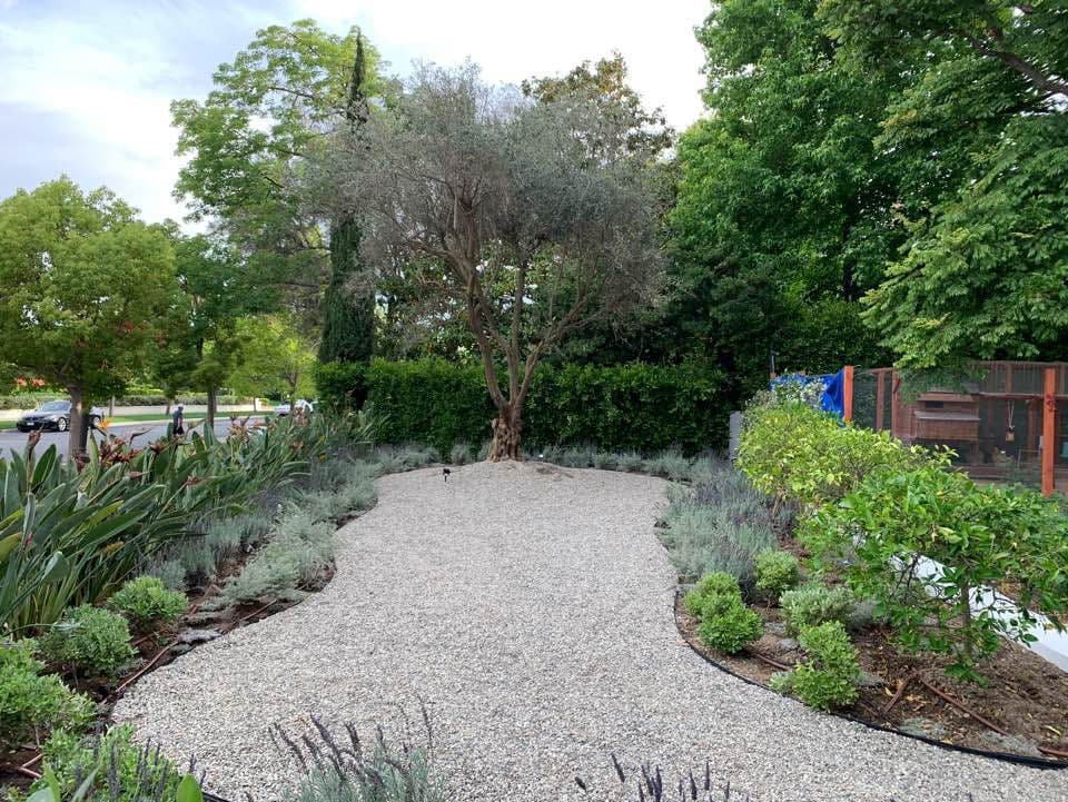 Desert Garden