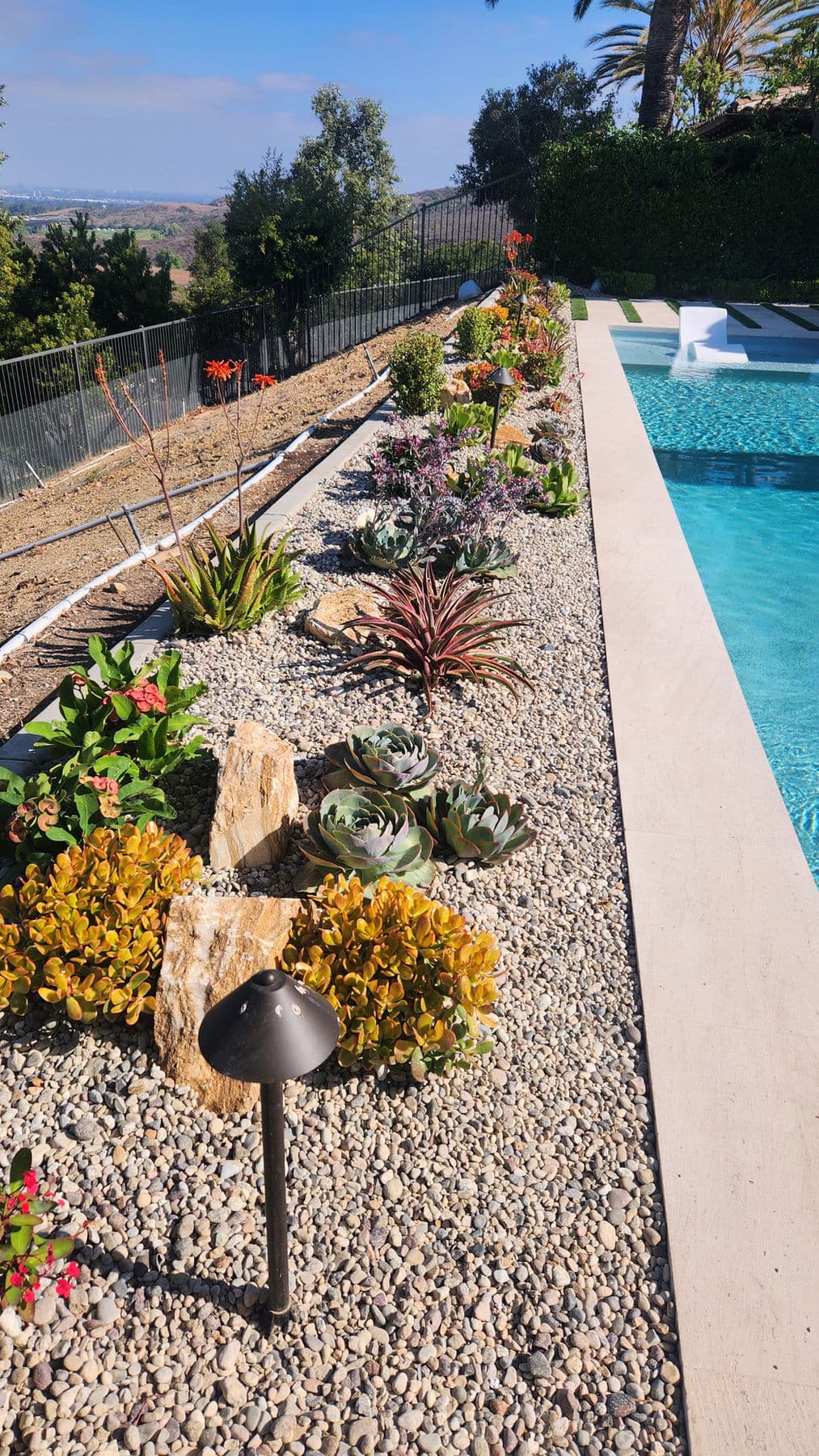 Desert Garden — 6