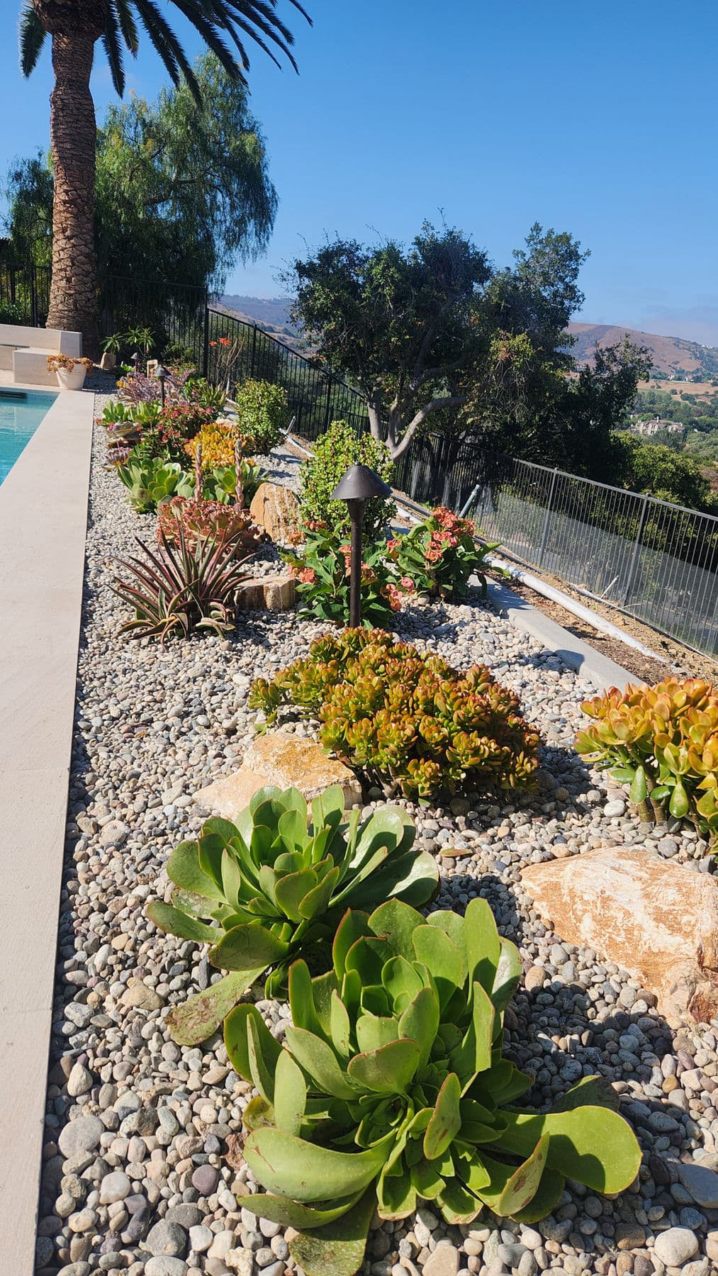 Desert Garden — 7
